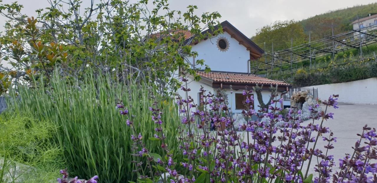 Agriturismo Mare E Monti Agerola Luaran gambar